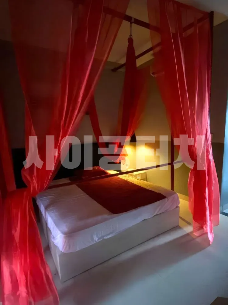 붉은 캐노피 침대와 천장에 매달린 그네