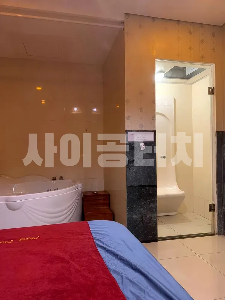 흰색 자쿠지 욕조와 샤워 시설이 있는 객실