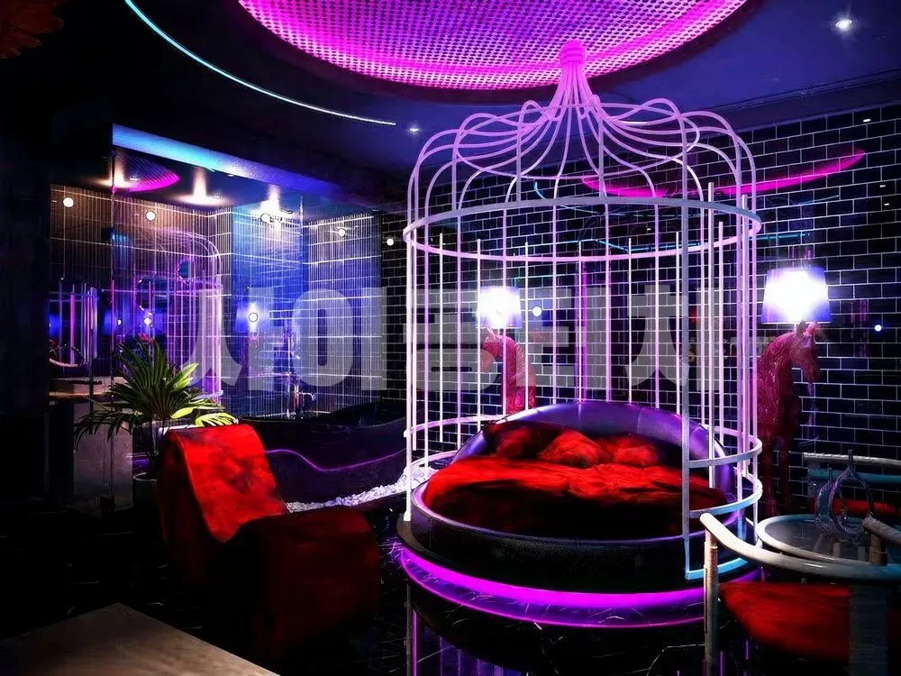 새장 모양 침대가 있는 화려한 방