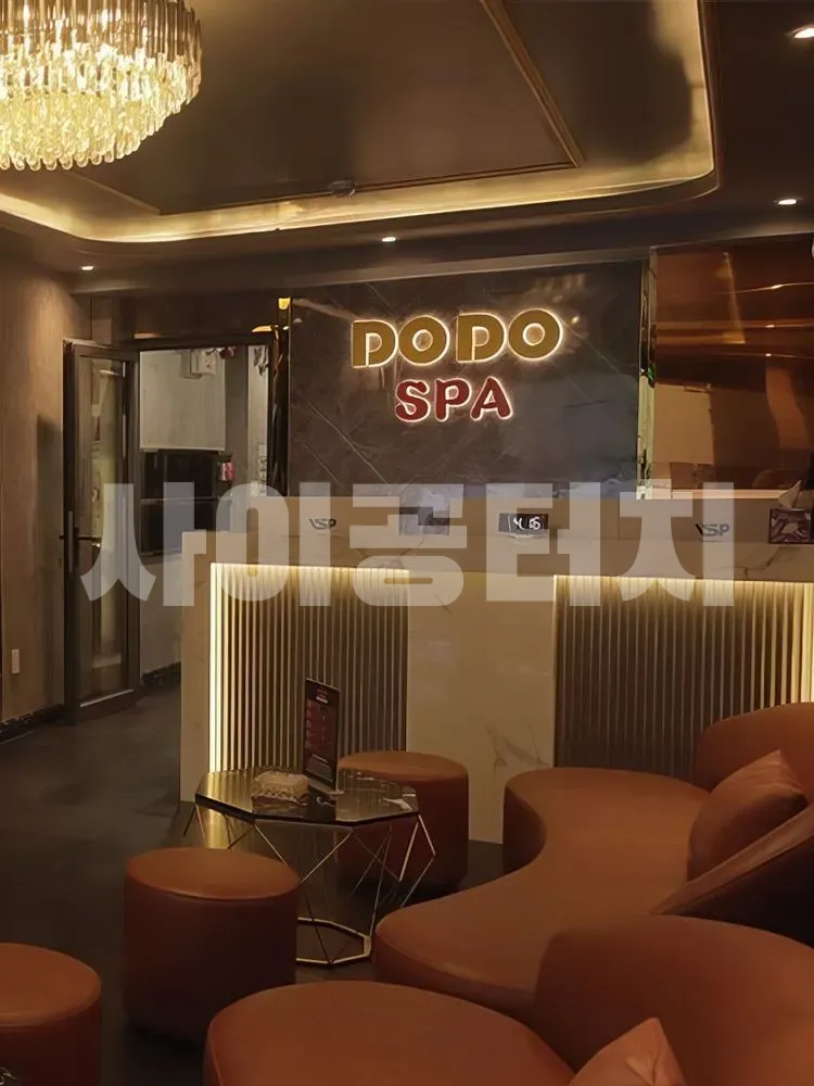 도도스파 카운터