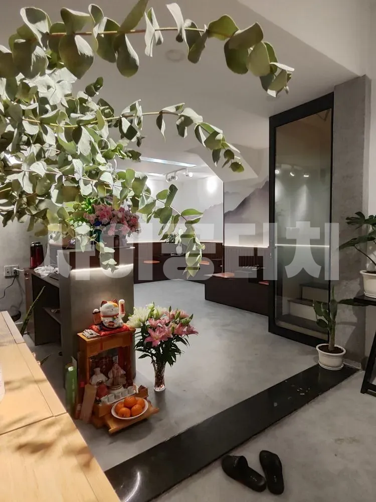 현대적인 인테리어의 스파 로비